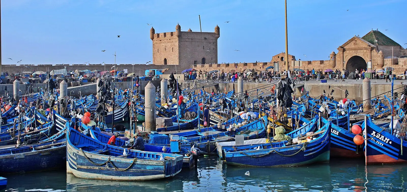 Essaouira fishing boats, a coastal finish available on 10-day Tangier tours