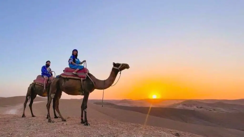 Camel ride in the Agafay stone desert near Marrakech