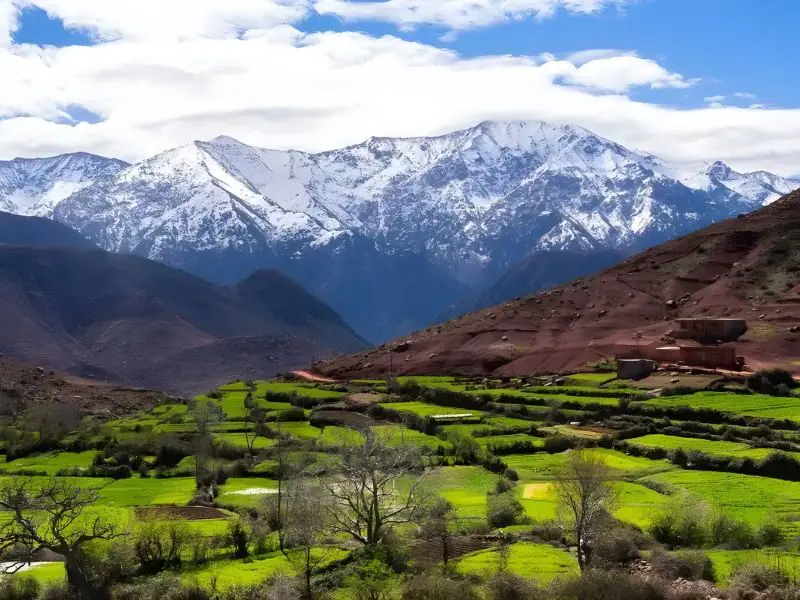 Middle Atlas landscape on a day trip from Fes