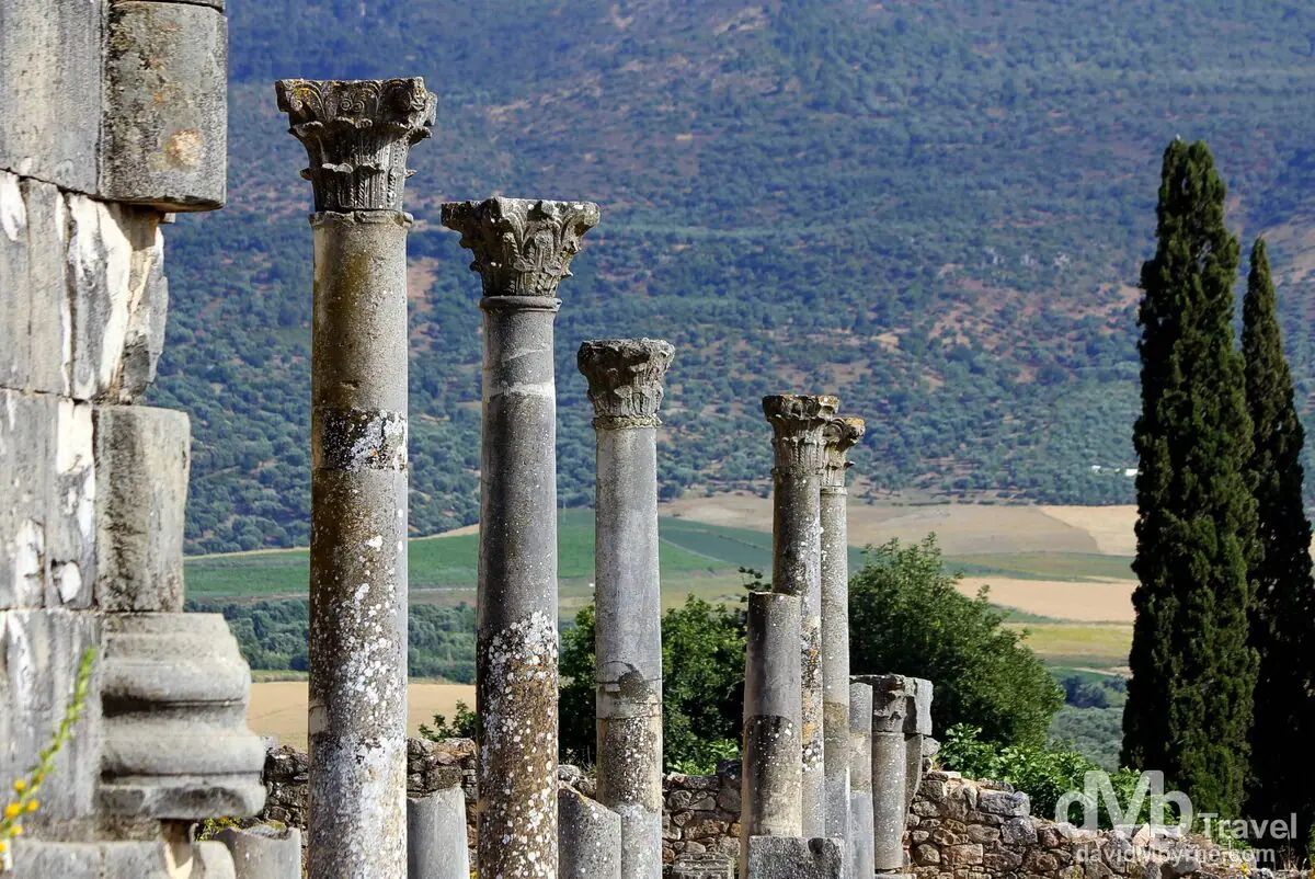 Roman columns at Volubilis, reachable at the end of an Ouarzazate to Fes tour