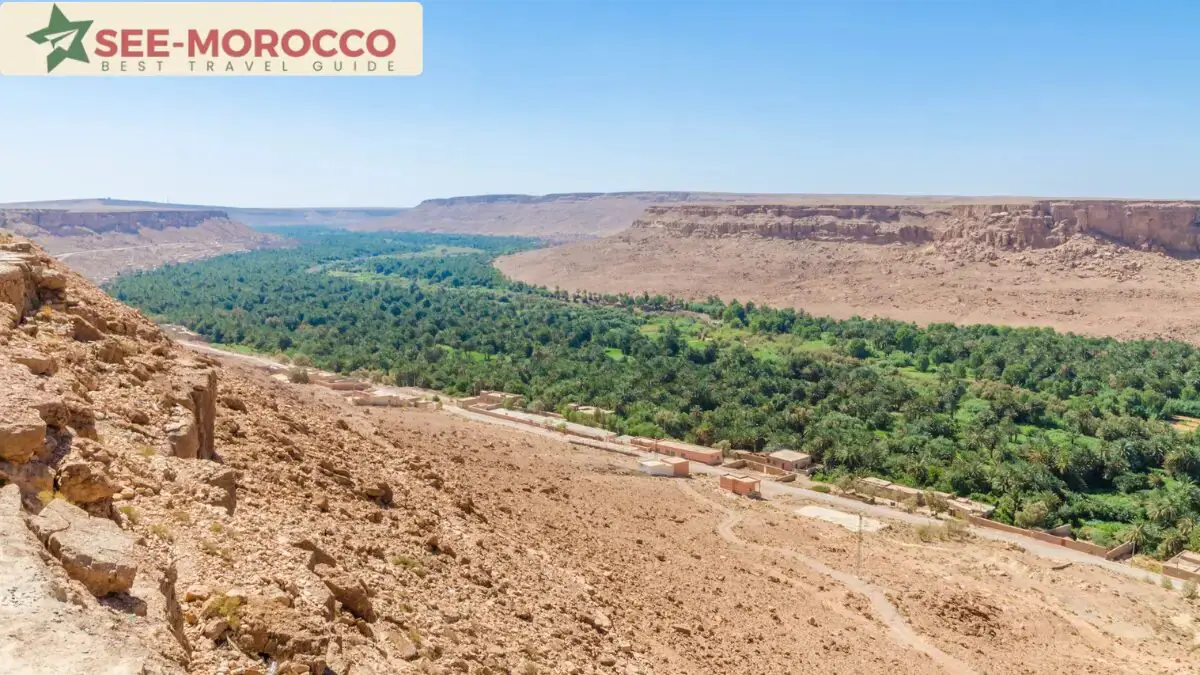Ziz Valley palm groves on the road from Fes to Merzouga